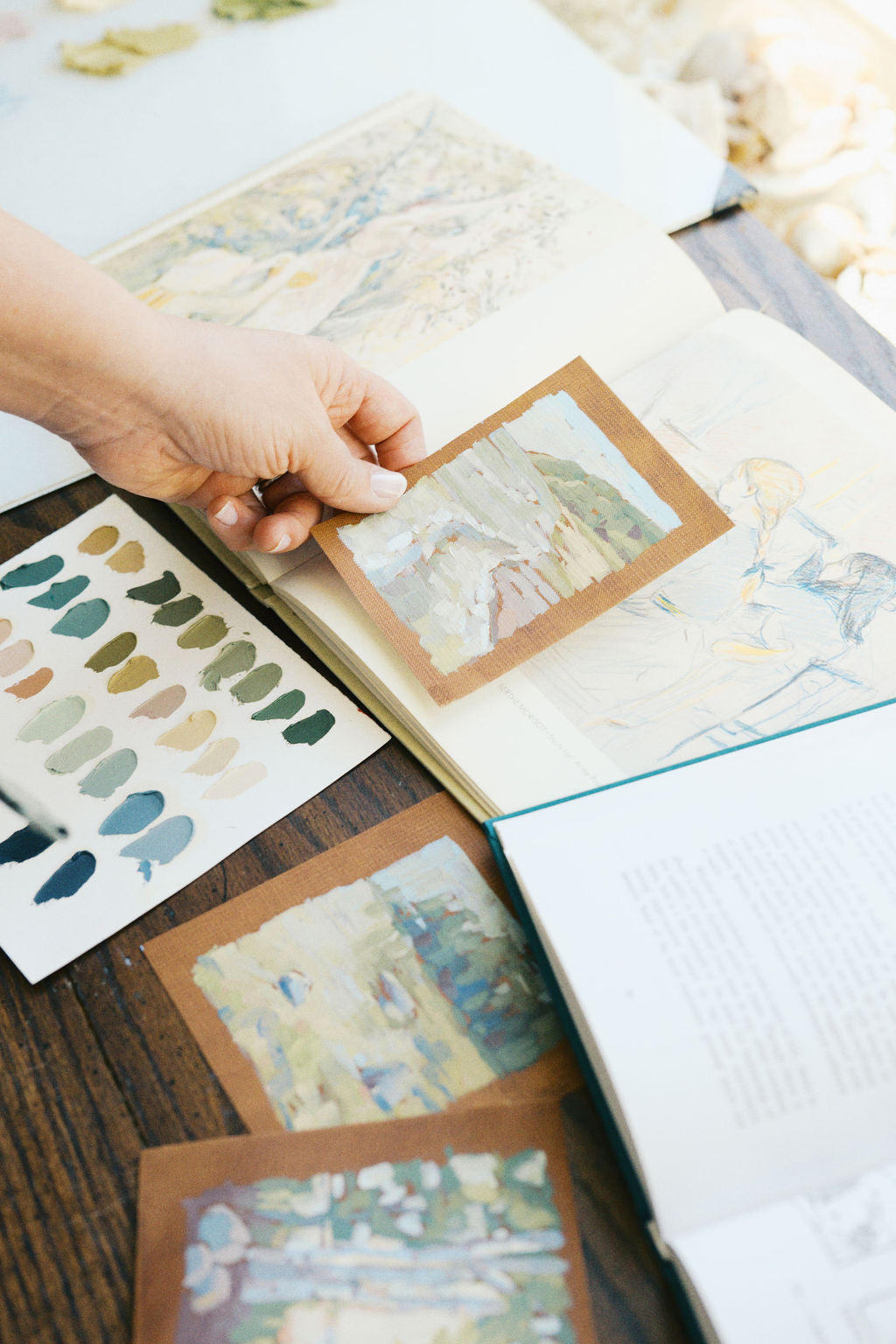 The Stories of the Shoreline Collection