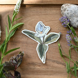 Trillium Sticker
