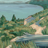 "Taking the Long View"