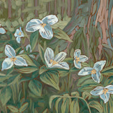 "Renewal" fine art print